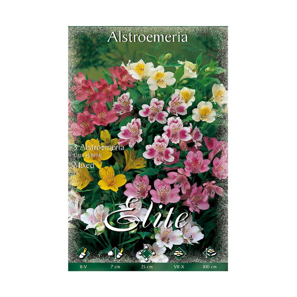 Alstroemeria-bollen, mix van 3 stuks