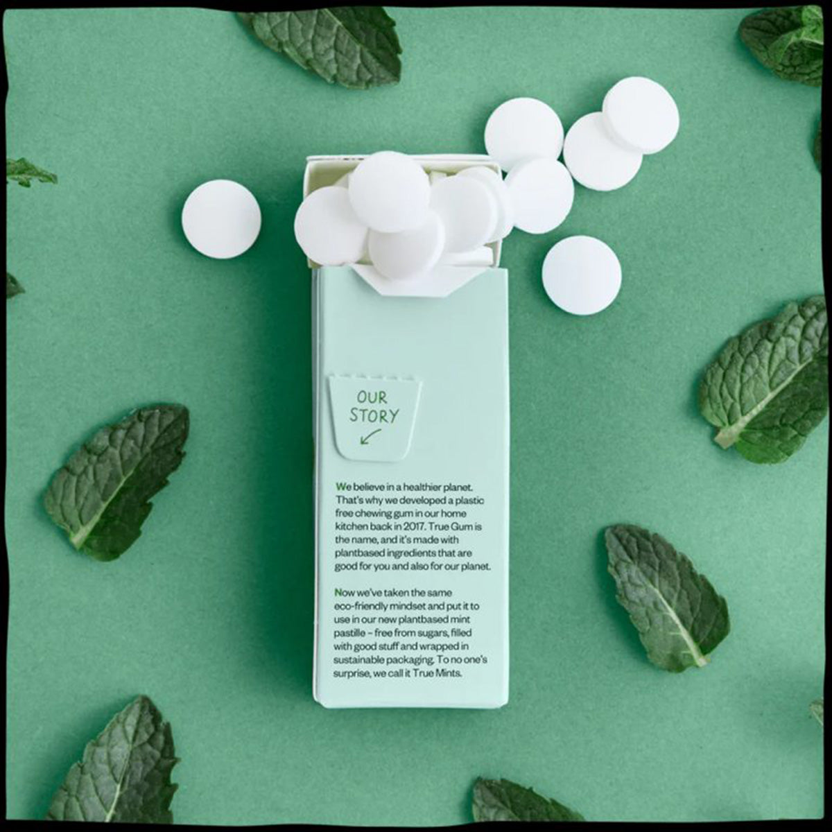 Plastikfreie Bonbons mit frischer Minze True Mints 13 g