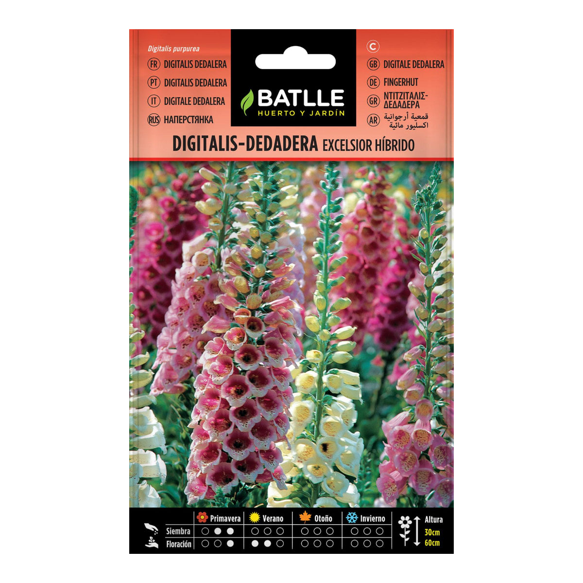 Frön av Digitalis Dedalera excelsior hybrid Batlle