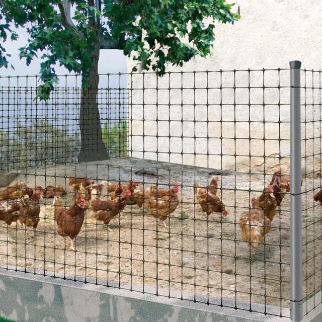 Malla avícola gallinera Avinet Nortene 24 x 27 mm
