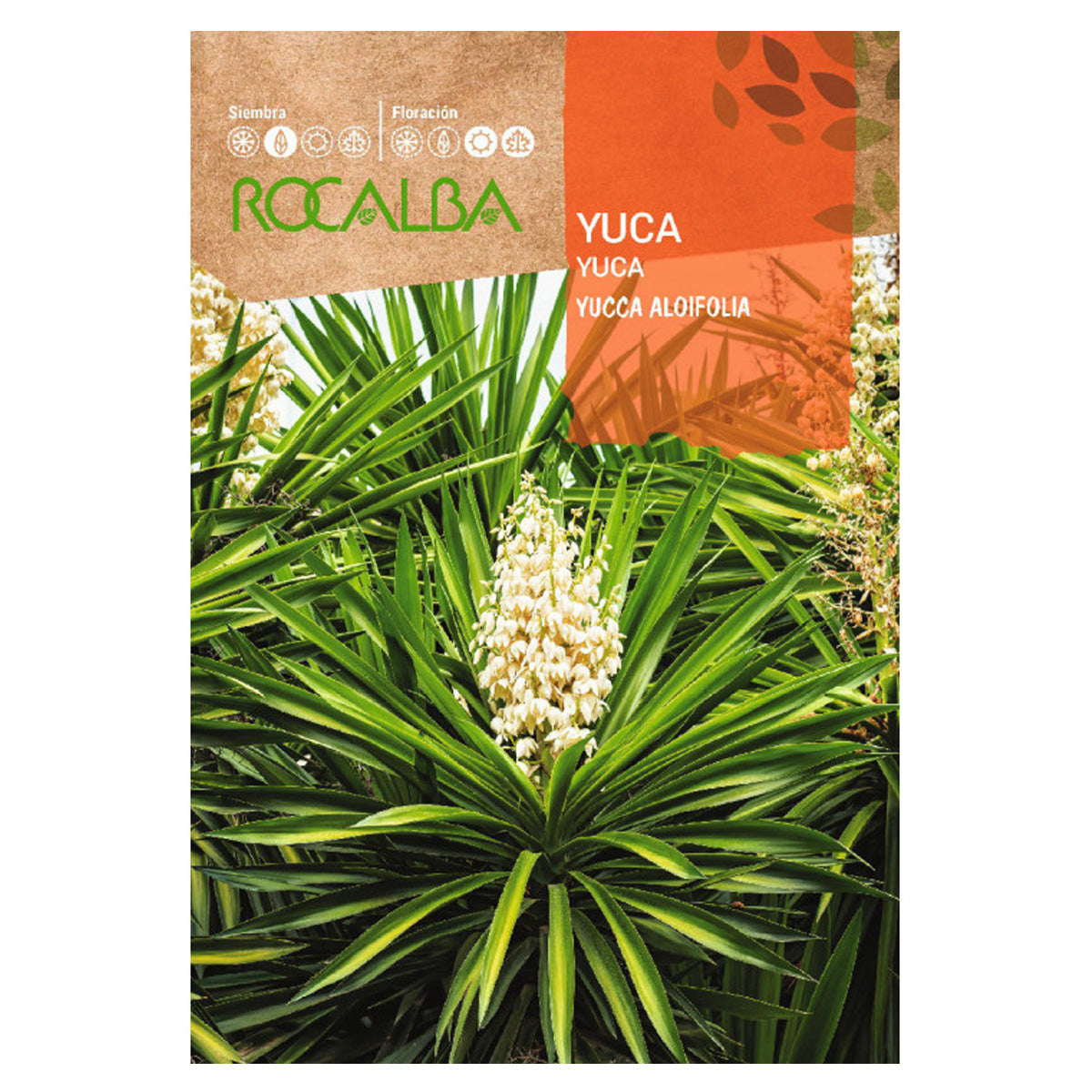 Semillas de Yuca, Rocalba