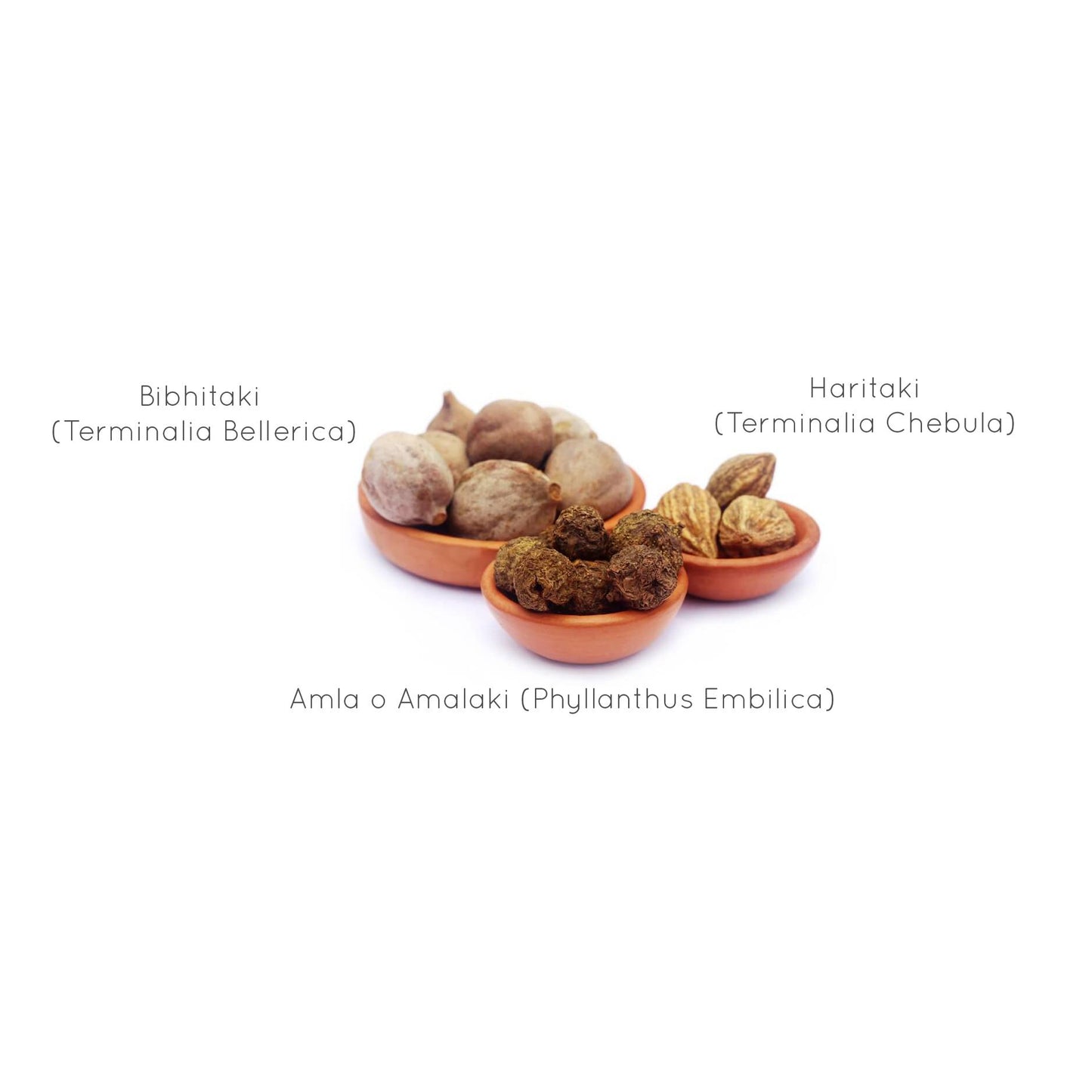 Triphala Organic India 90 gélules