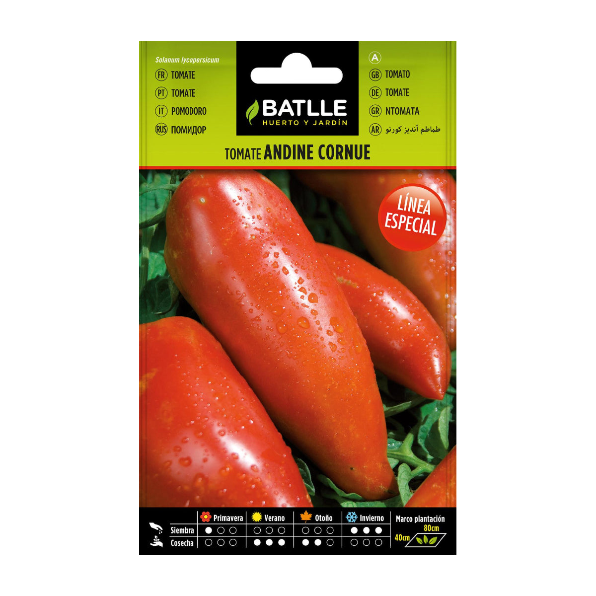 Graines de tomates Andina Cornue Batlle