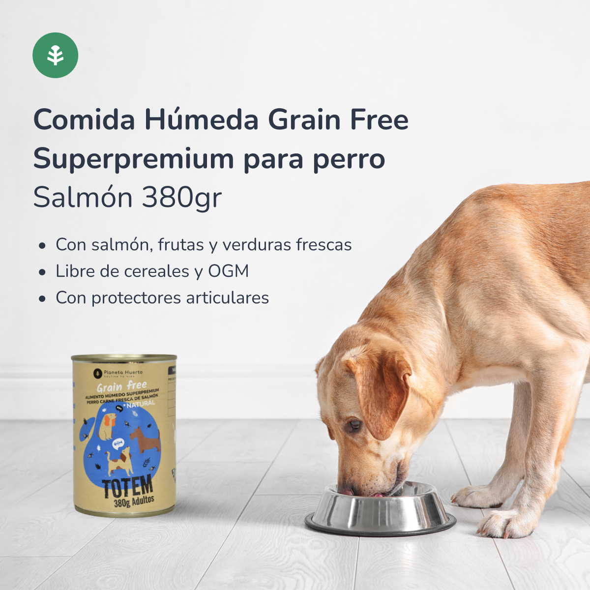 Förpackning 6 x Grain Free Superpremium Wet Dog Food Salmon 380 g Planeta Huerto