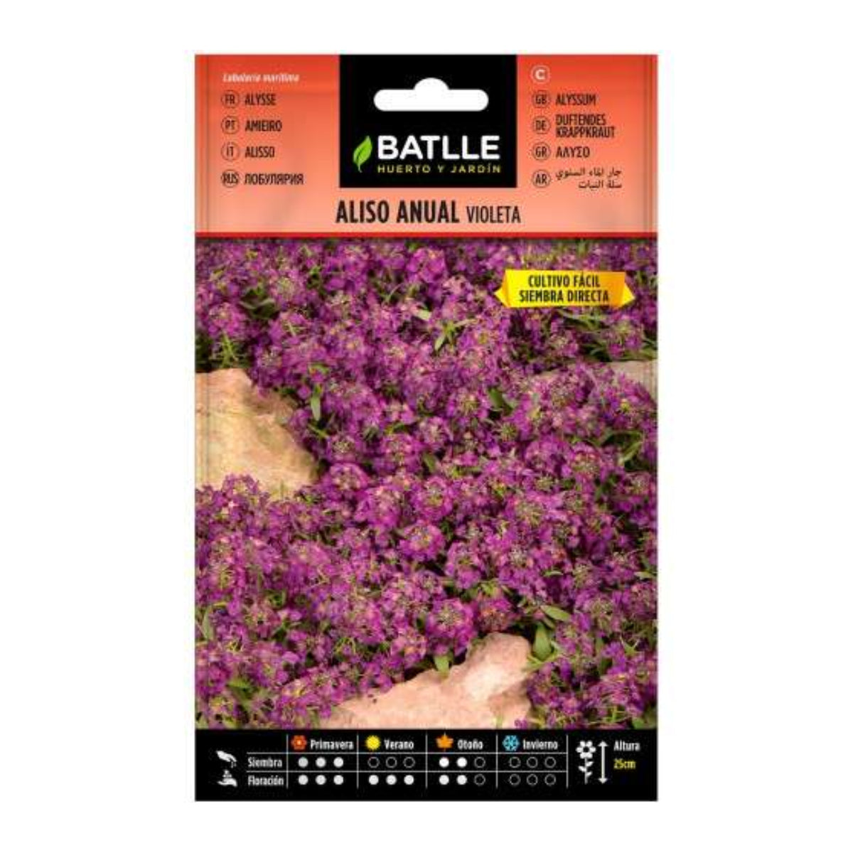 Samen der einjährigen violetten Erle Batlle