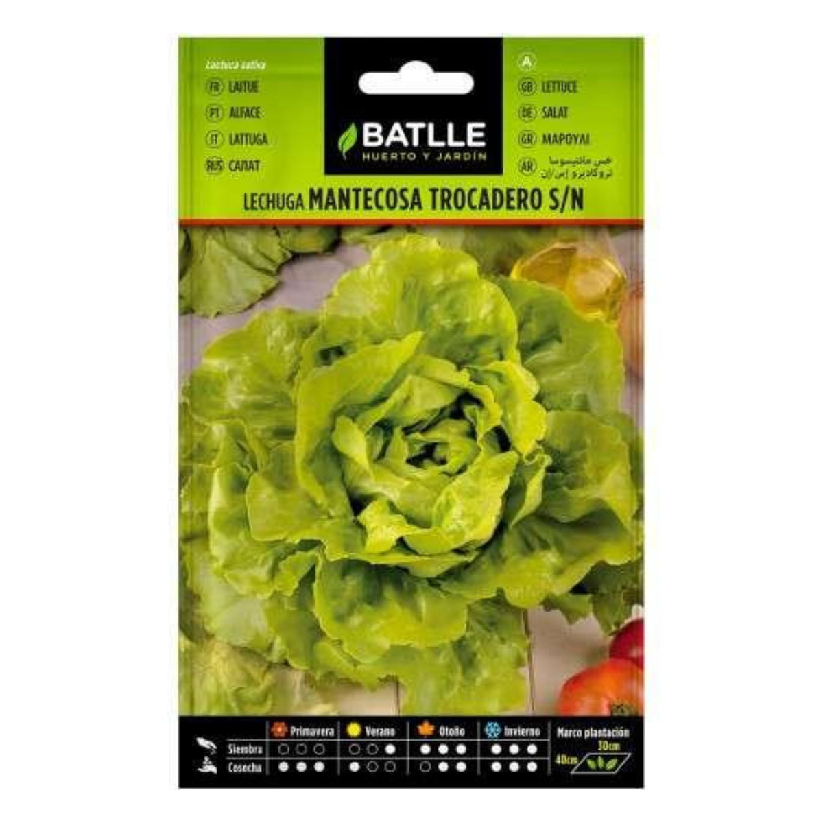 Nasiona sałaty Trocadero Batlle