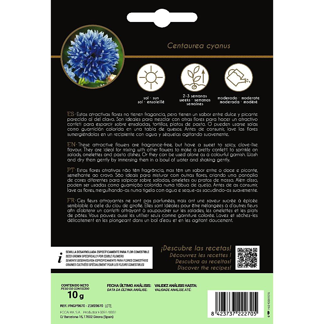 Nasiona jadalnych kwiatów Centaurea Rocalba