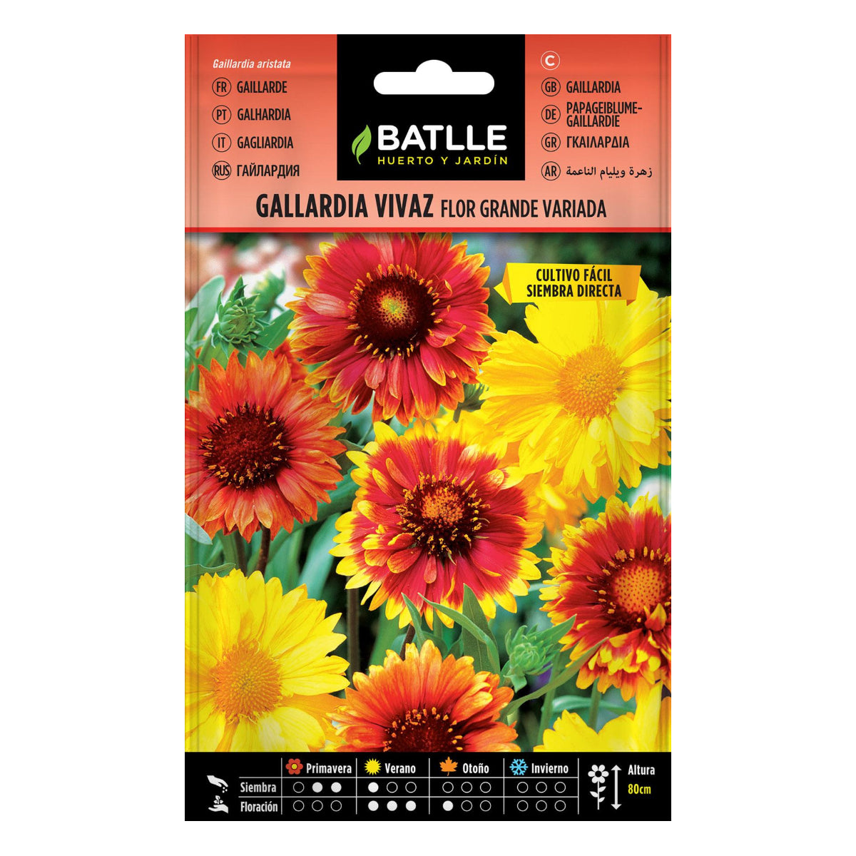 Zaden van Gallardia vivaz Batlle