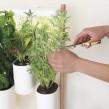 Prêt à Pousser Indoor Garden MODULE