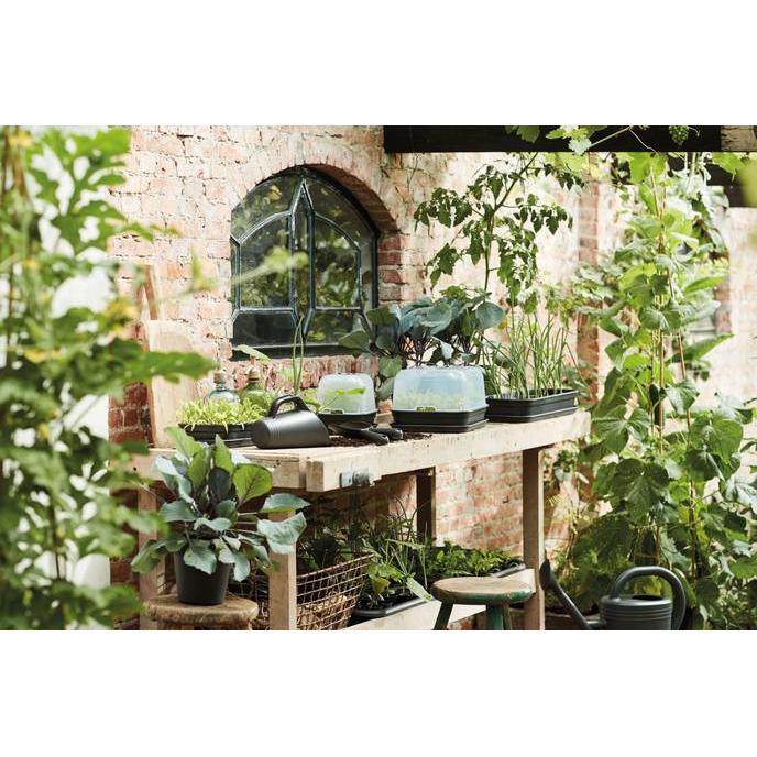 Green basics Elho L greenhouse cover for growing tray