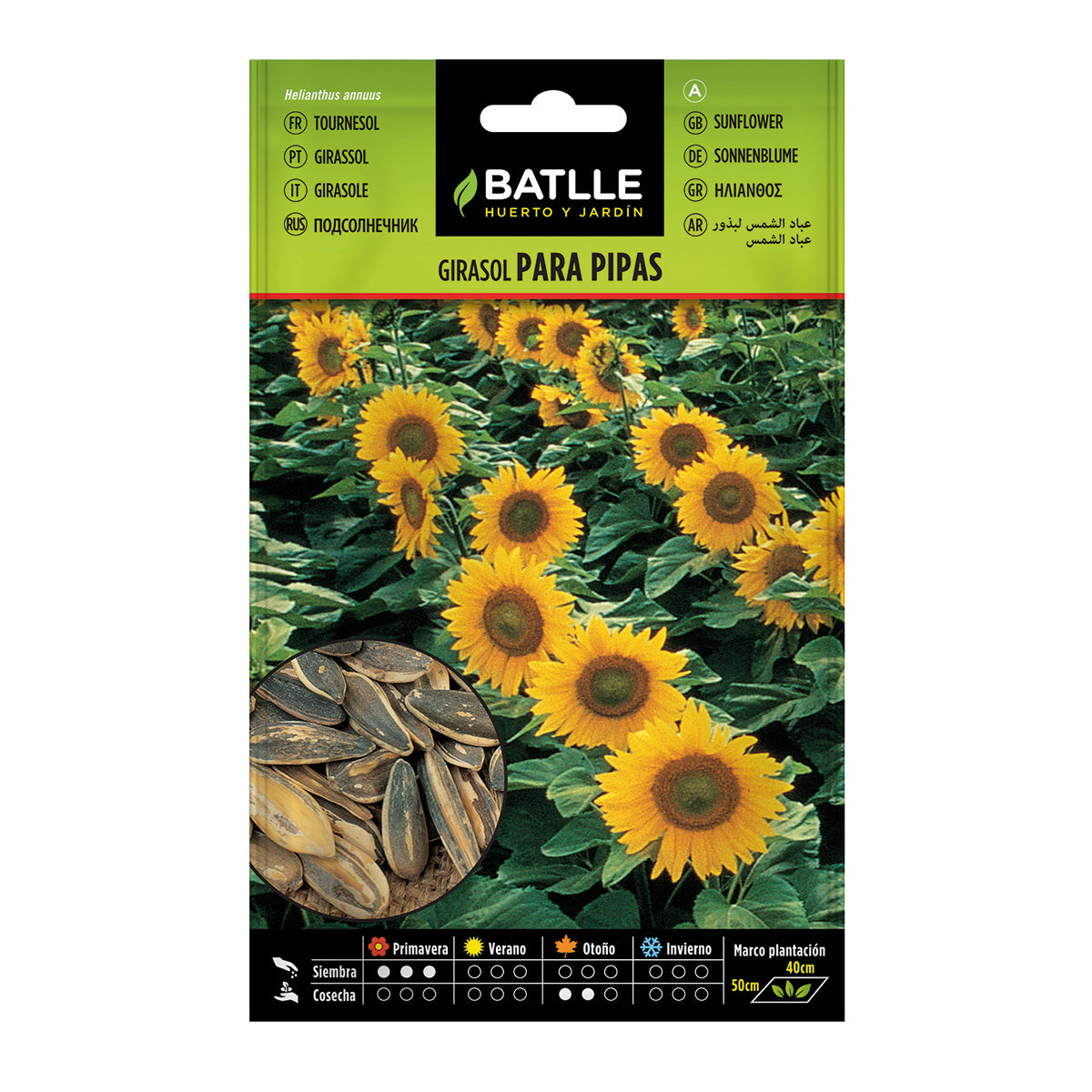 Semi di girasole per pipas Batlle