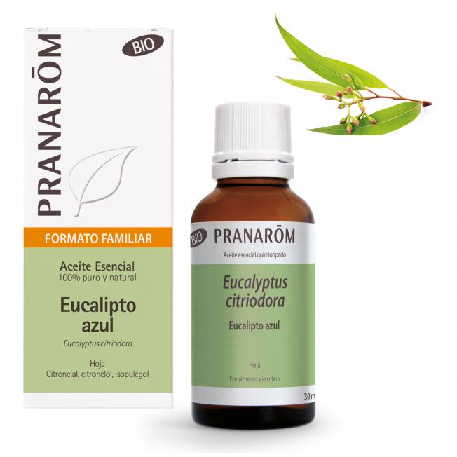Eterisk olja av blå eukalyptusblad Bio Pranarom 30 ml
