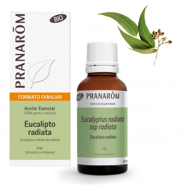 Huile essentielle d'eucalyptus radiata feuille bio Pranarom 30 ml