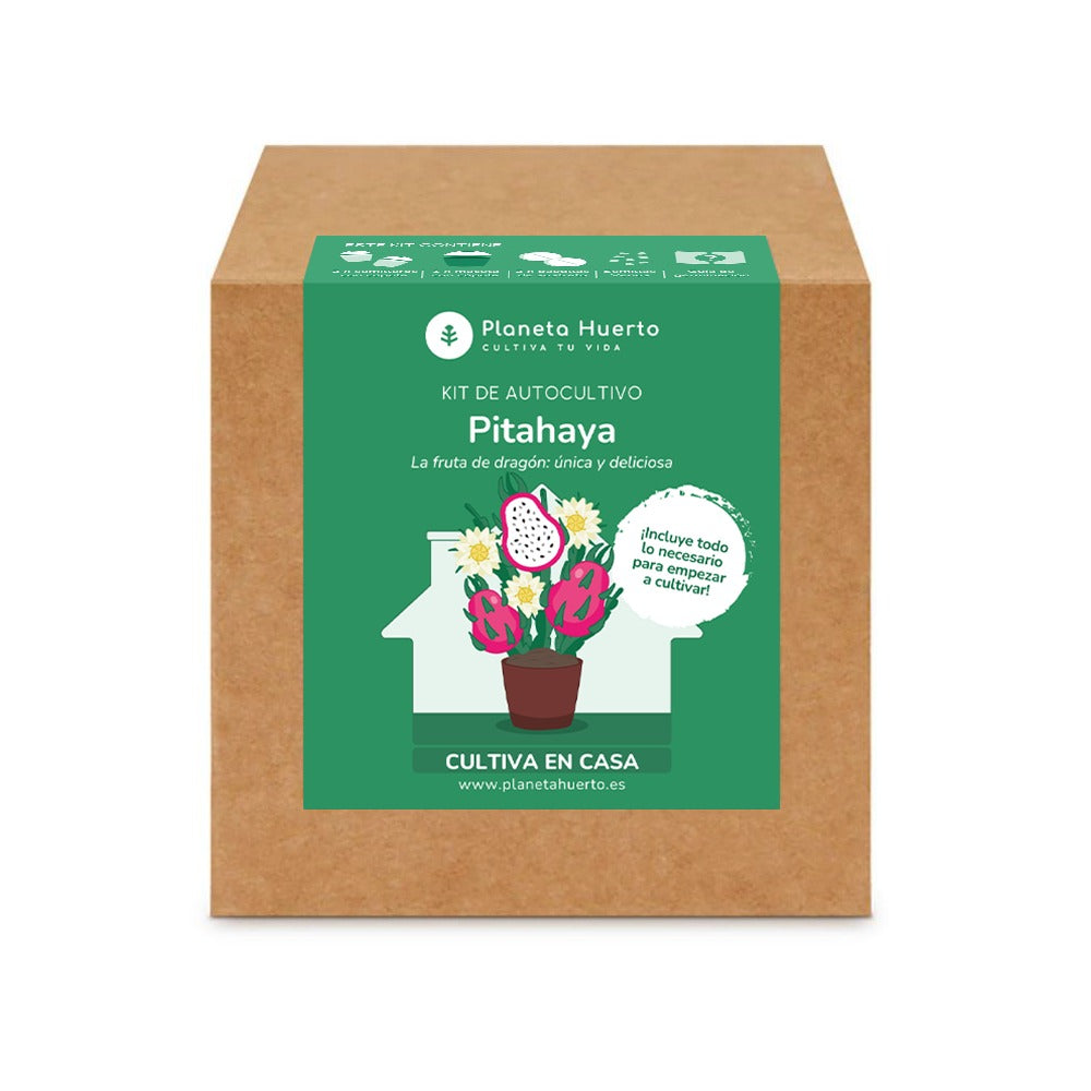 Drakfrukt Pitahaya självodlingssats Planeta Huerto