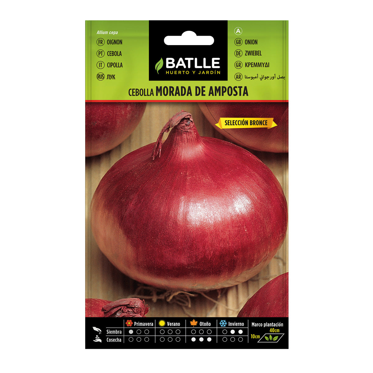 Semi di cipolla rossa di Amposta sel. Bronce Batlle