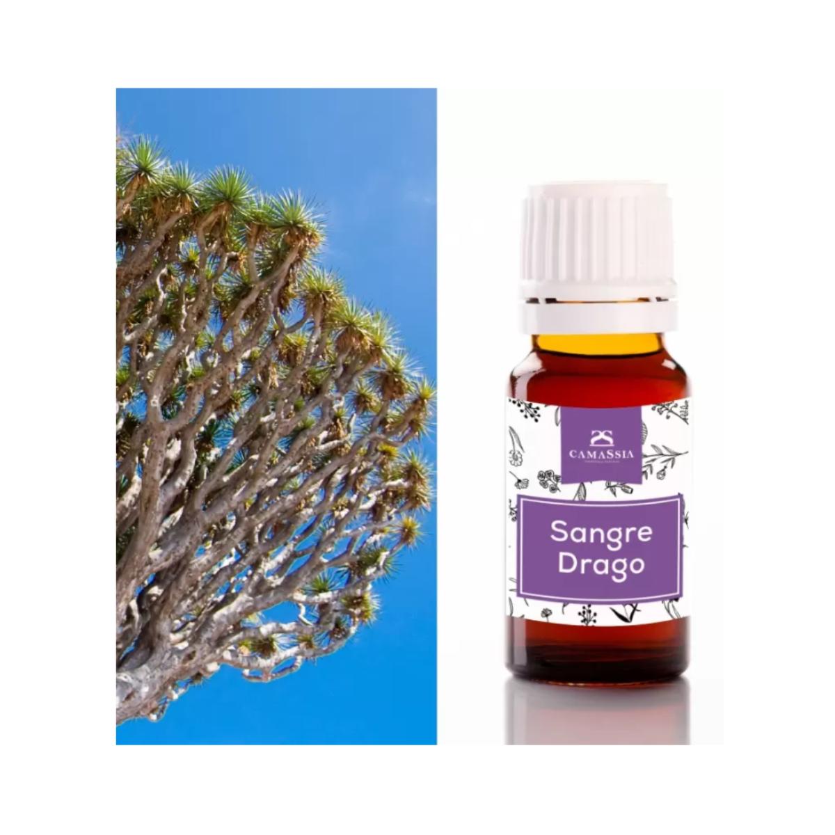 Sang de dragon (Sangre de grado). Camassia 10 ml