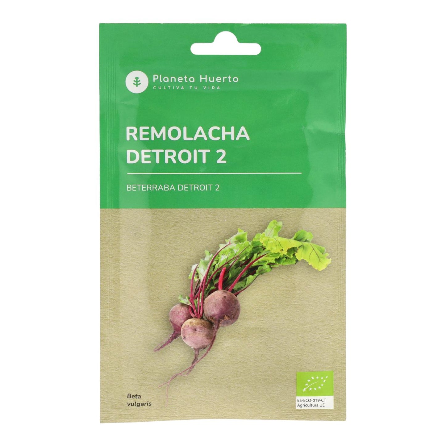 Organic Detroit Beetroot Seeds 2 Planet Vegetable Garden