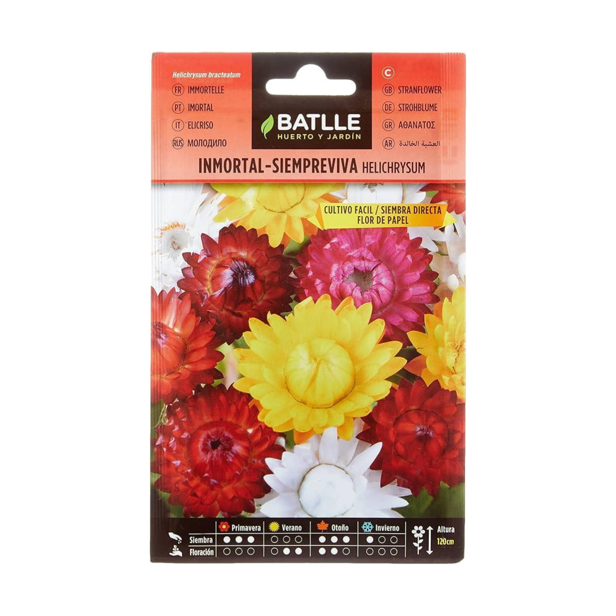 Frön av evighetsblomma Papperblomma Batlle