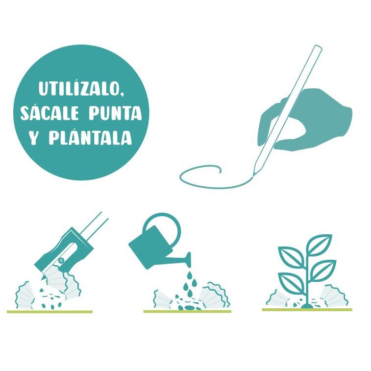 Matita con semi piantabili ecologica, sostenibile e divertente Garden Pocket