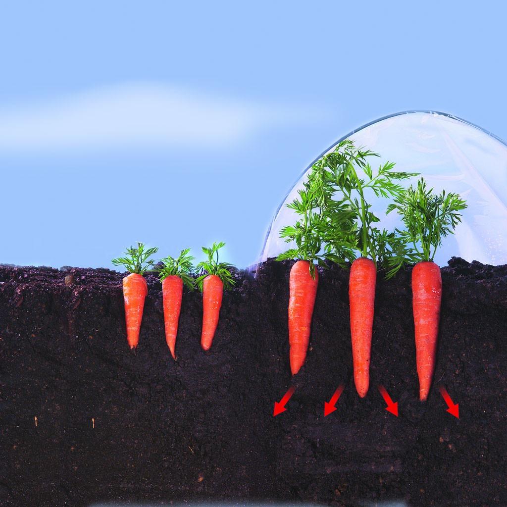 Film de cultivo verduras tempranas Climafilm Nortene 2 x 5 m