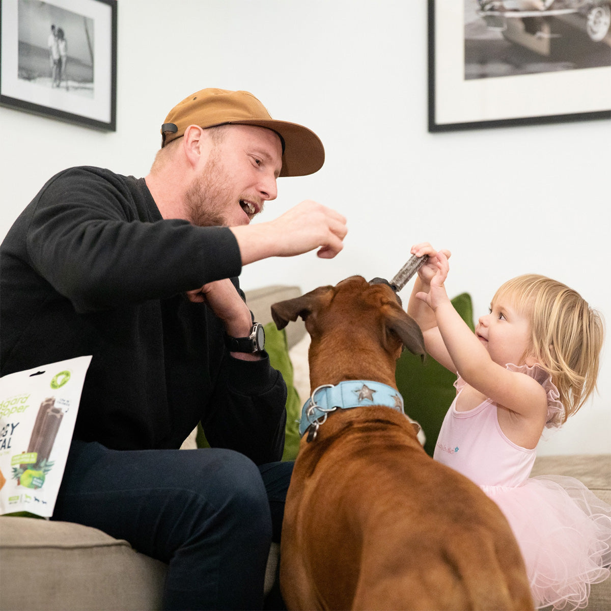 Doggy Dental für kleine Hunde Apfel und Eukalyptus Edgard Cooper 7 Sticks