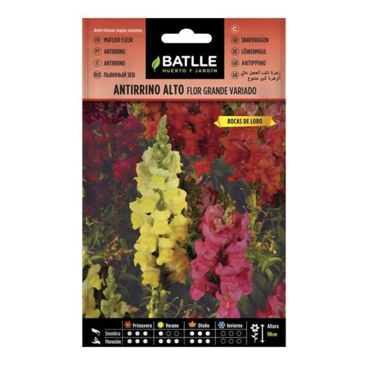 Nasiona Antirrino alto flor grande Batlle