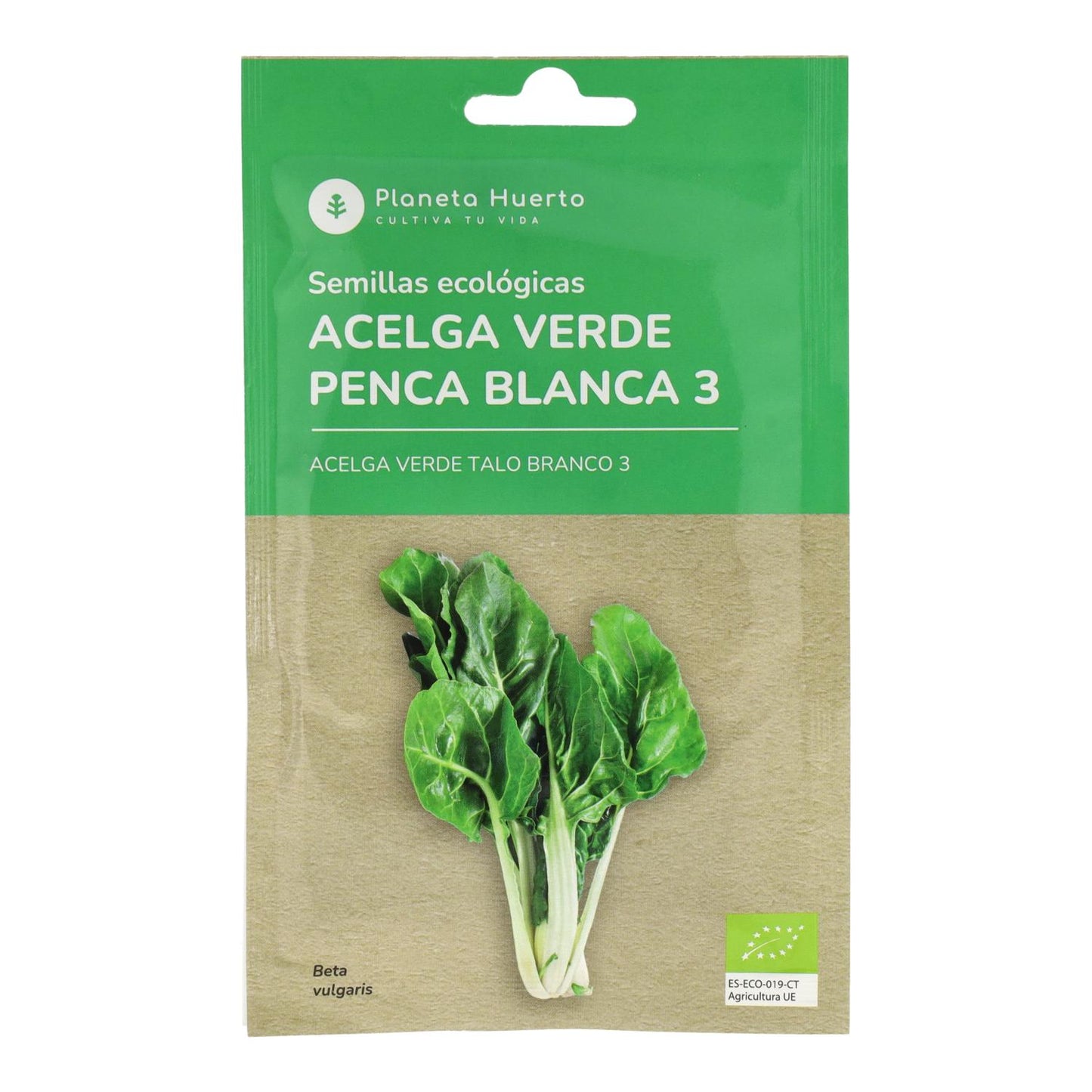 Organic Green Beet Seeds Planeta Huerto