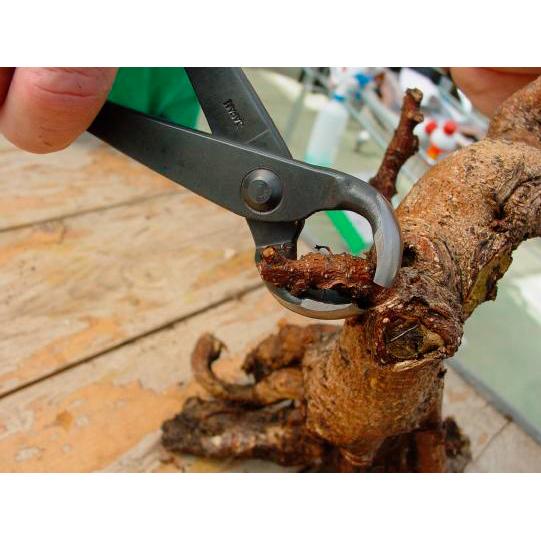 Cuillère concave 210 mm