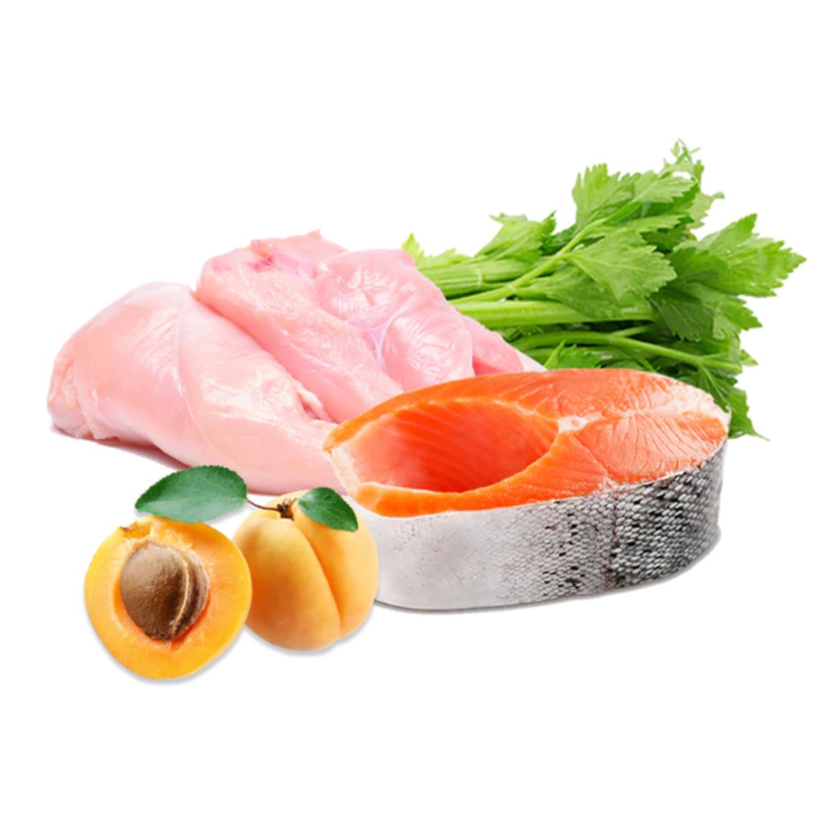 Mokra karma Barf dla psów z indykiem i łososiem Select BIO Puromenu 400 g