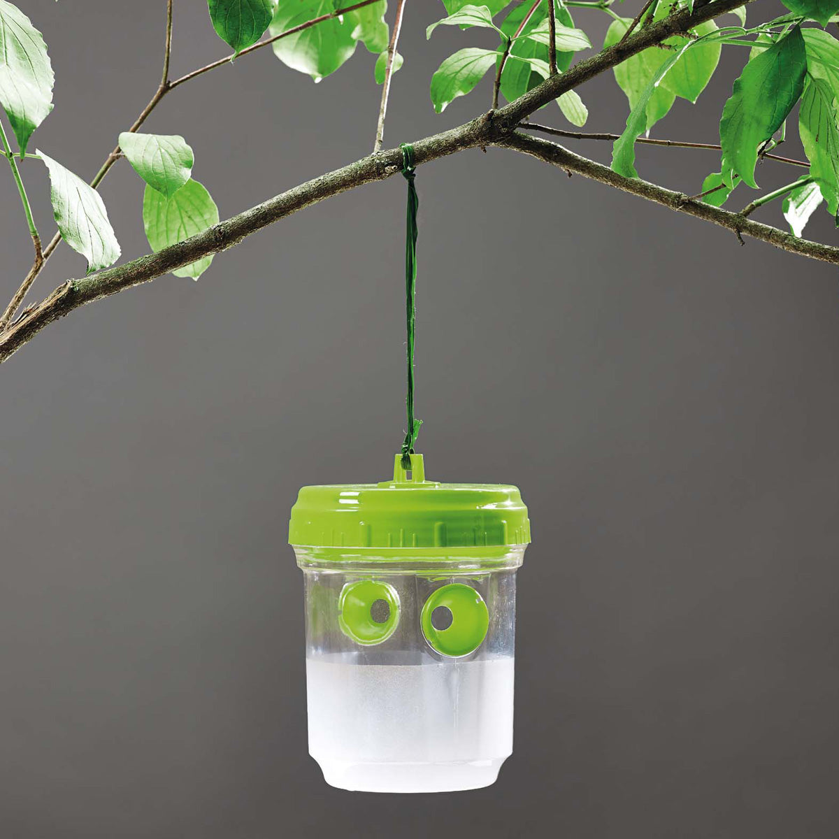 Fliegen-, Wespen- und Fruchtfliegenfalle 2 Stück Verdemax