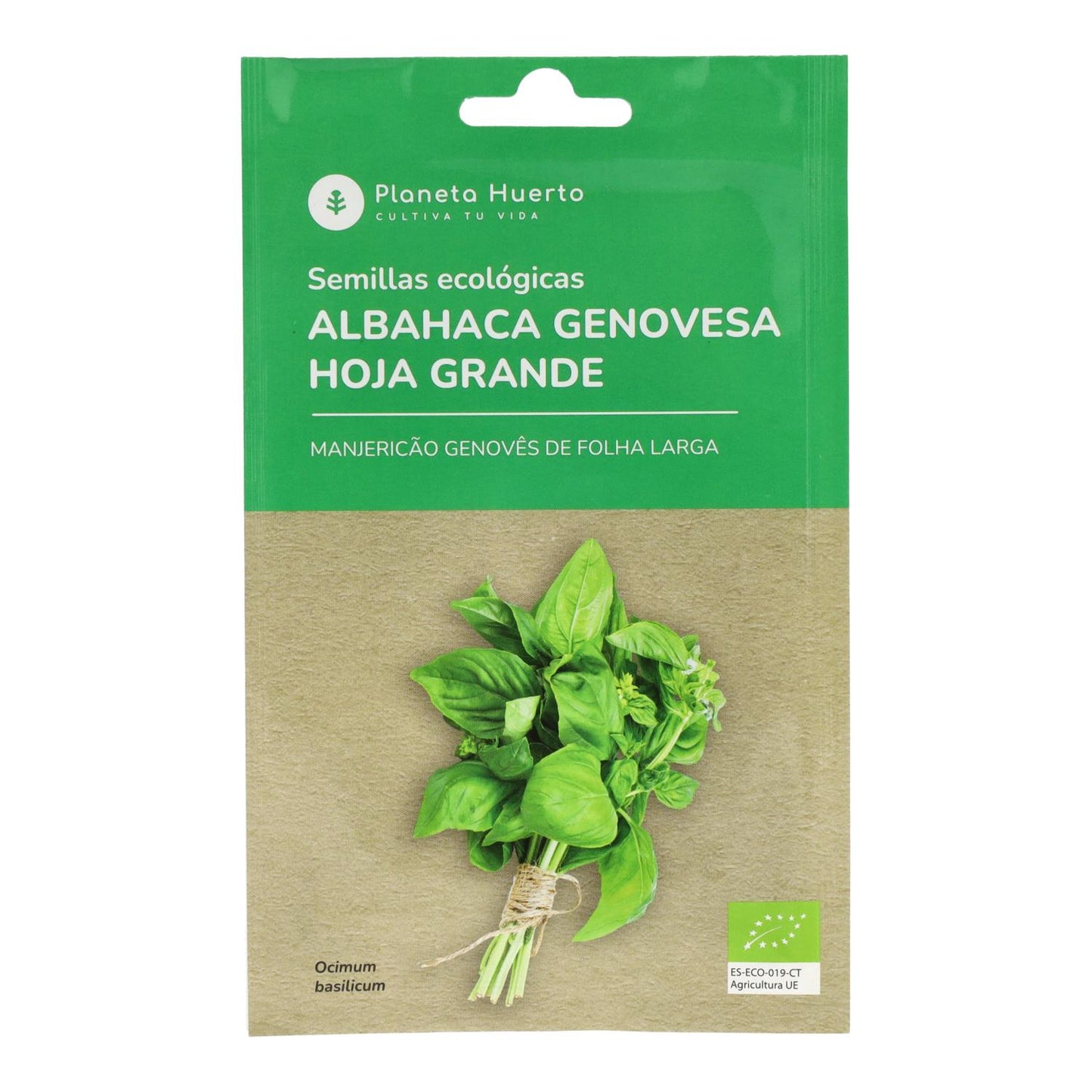Organiska frön av Genovese Basil Planeta Huerto