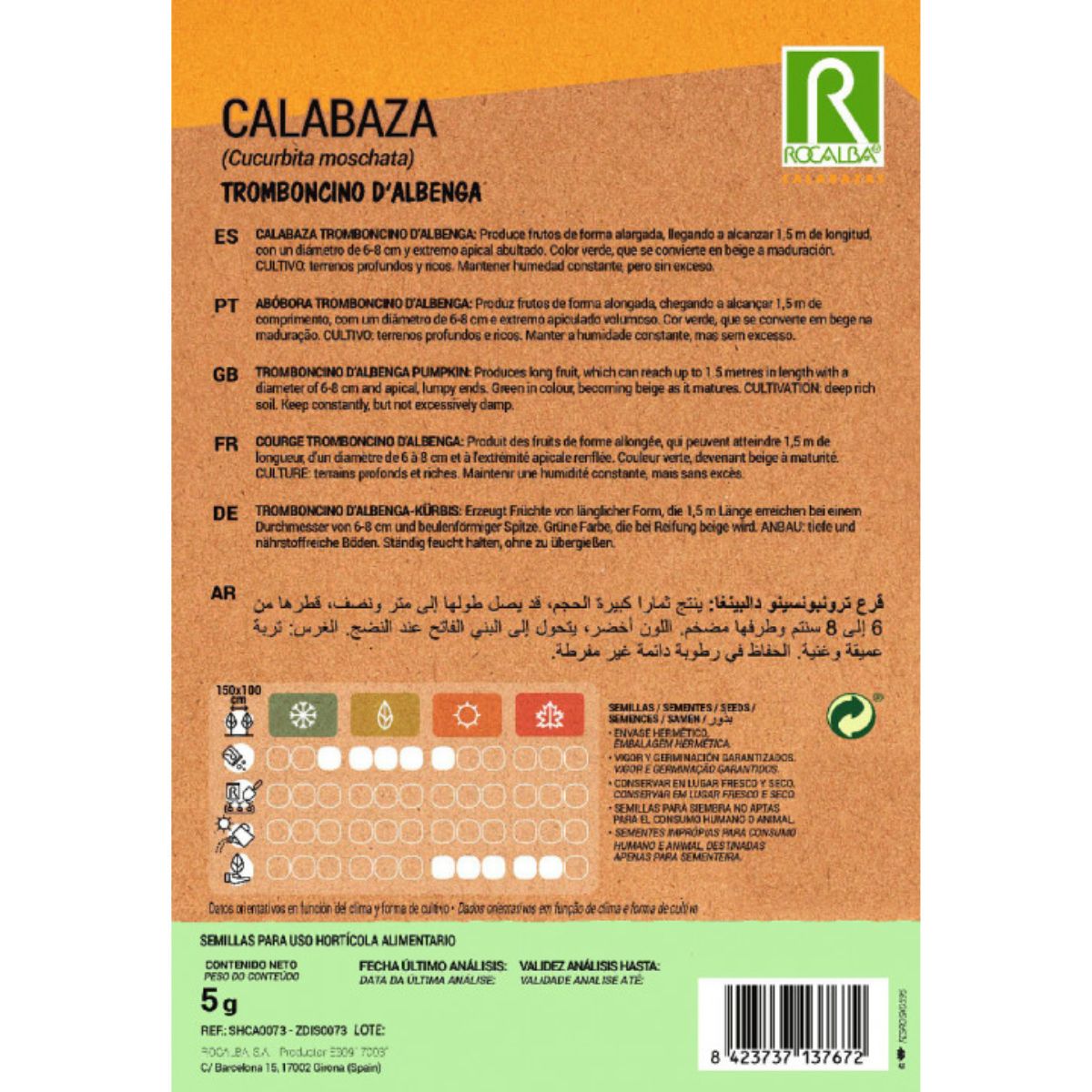 Graines de courge tromboncino d'albenga