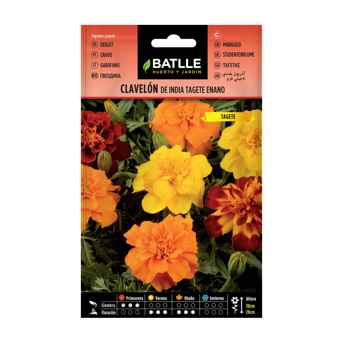 Indische Tagetes-Samen Batlle