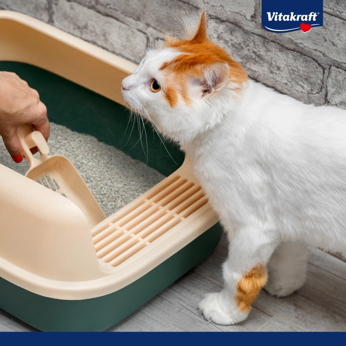 Vitakraft Compact Ultra Klumpende Streu 4 l