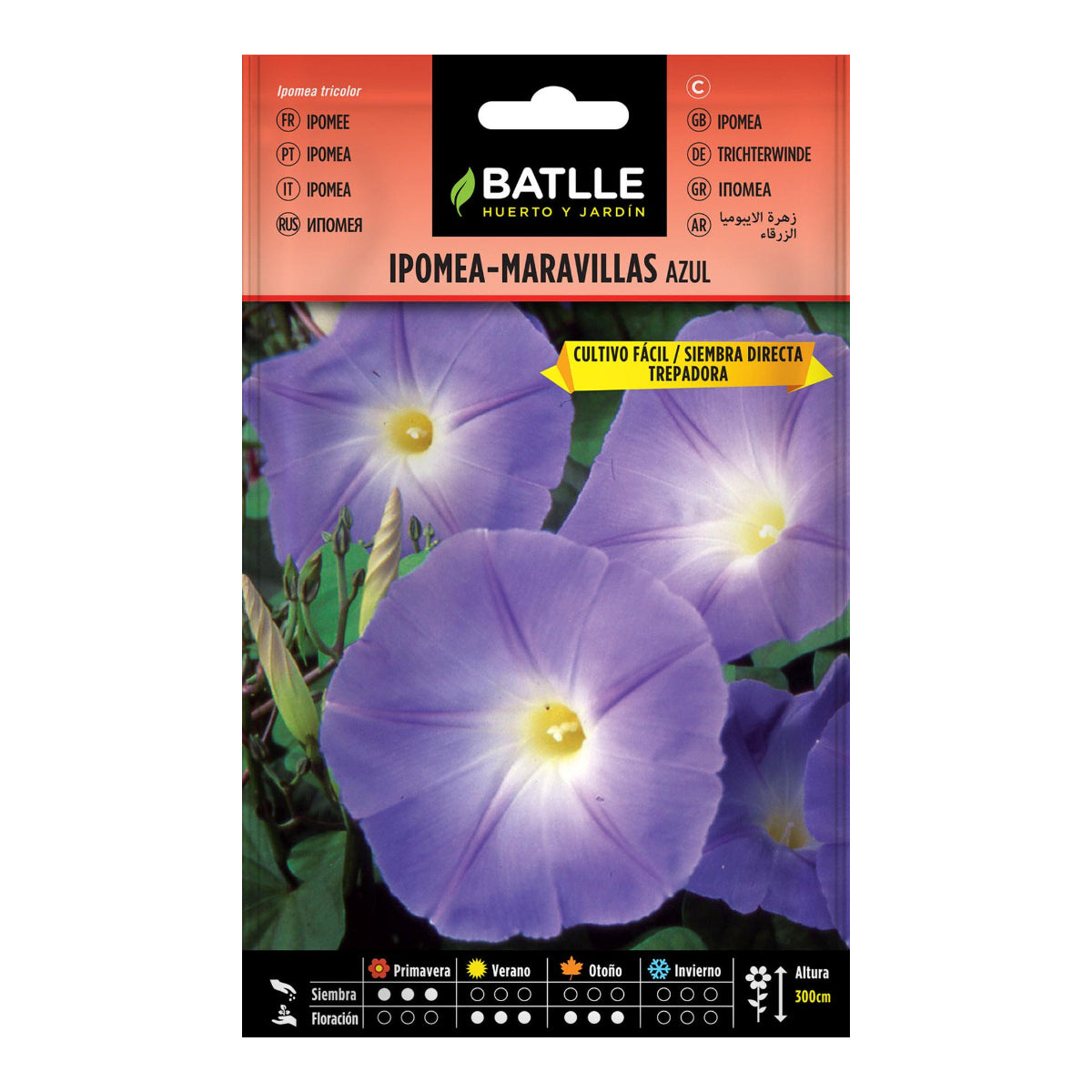 Blue Morning Glory Seeds Batlle