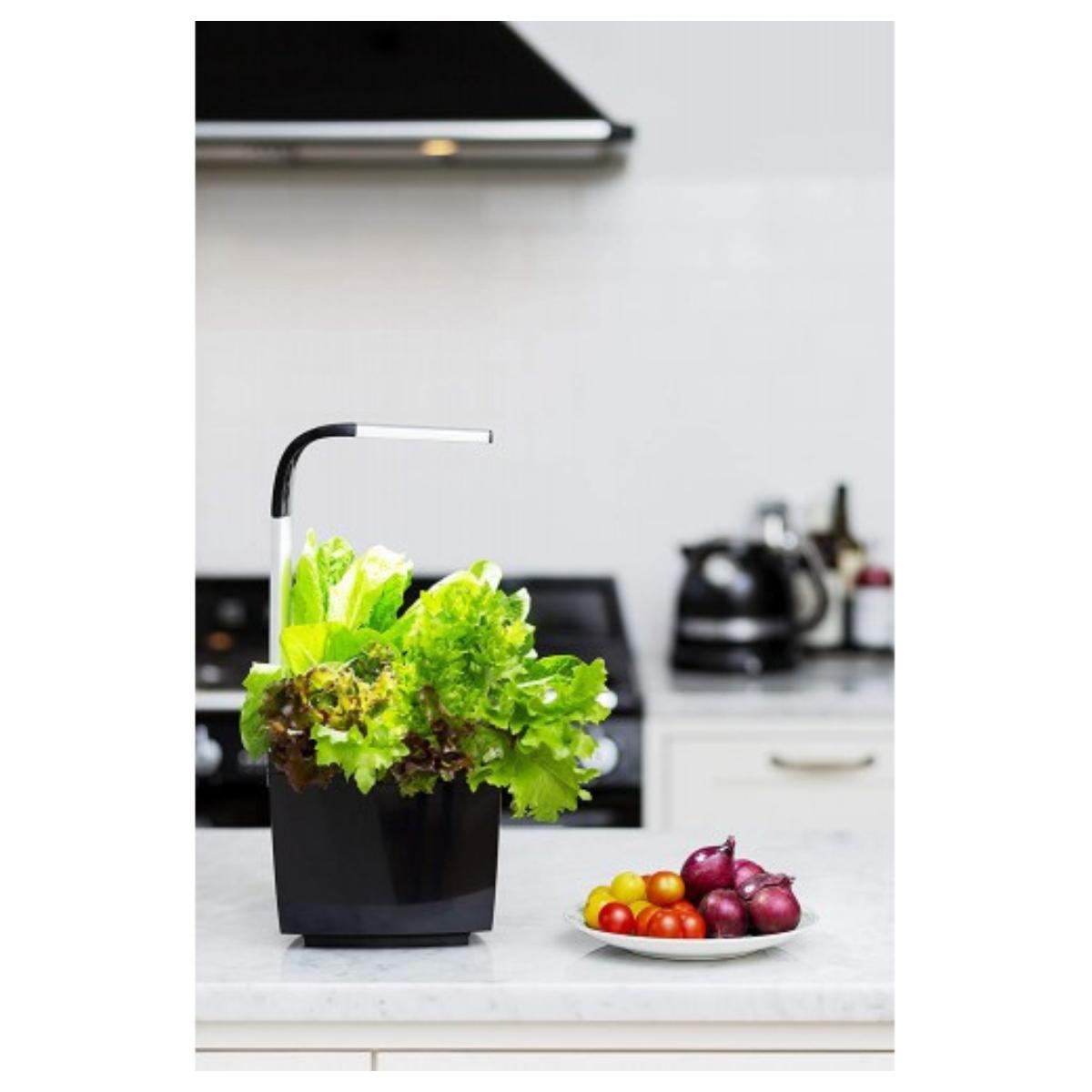 Vaso per coltivazione domestica T3 Kitchen Garden 20 x 17,5 cm Nero