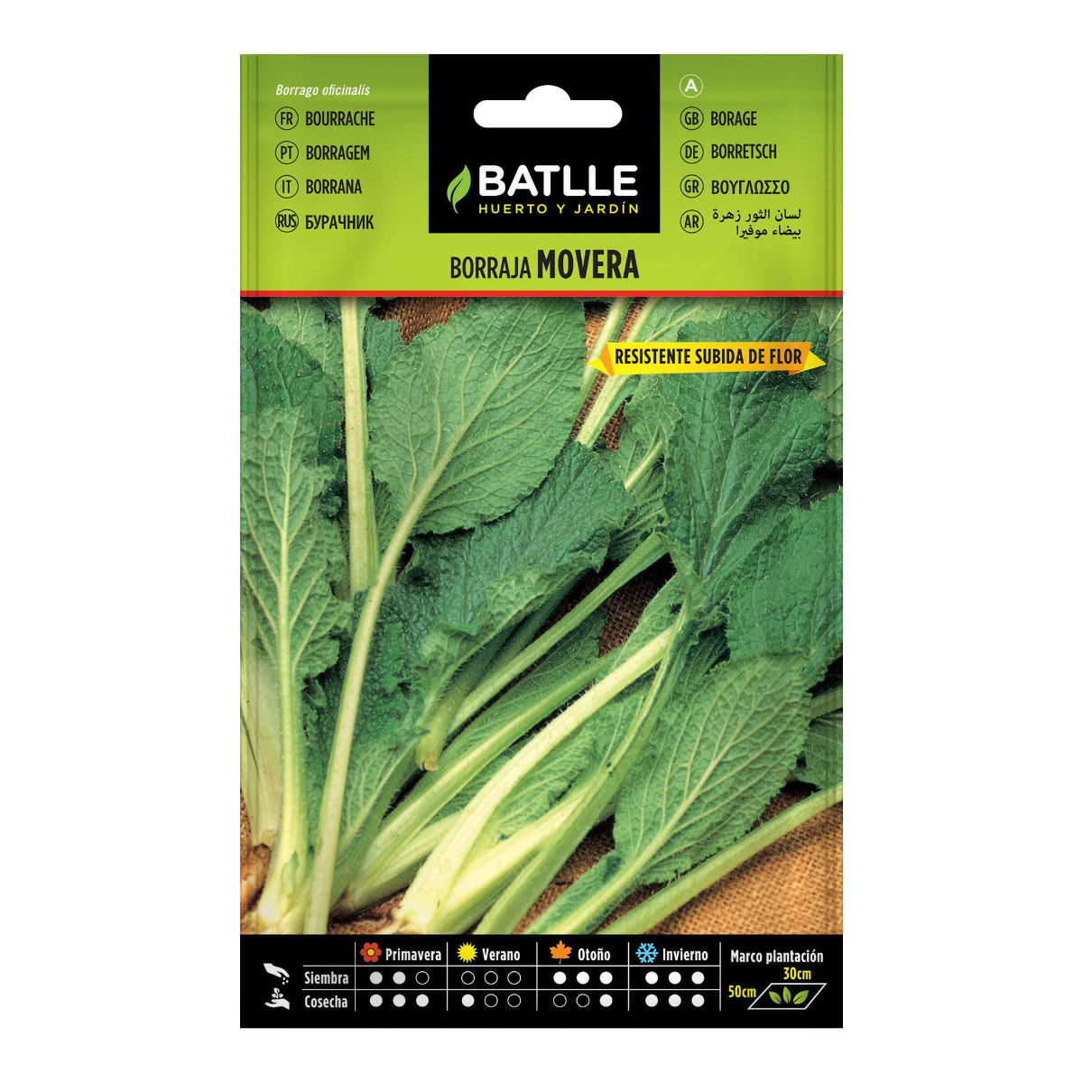 Boragezaadjes Movera Batlle