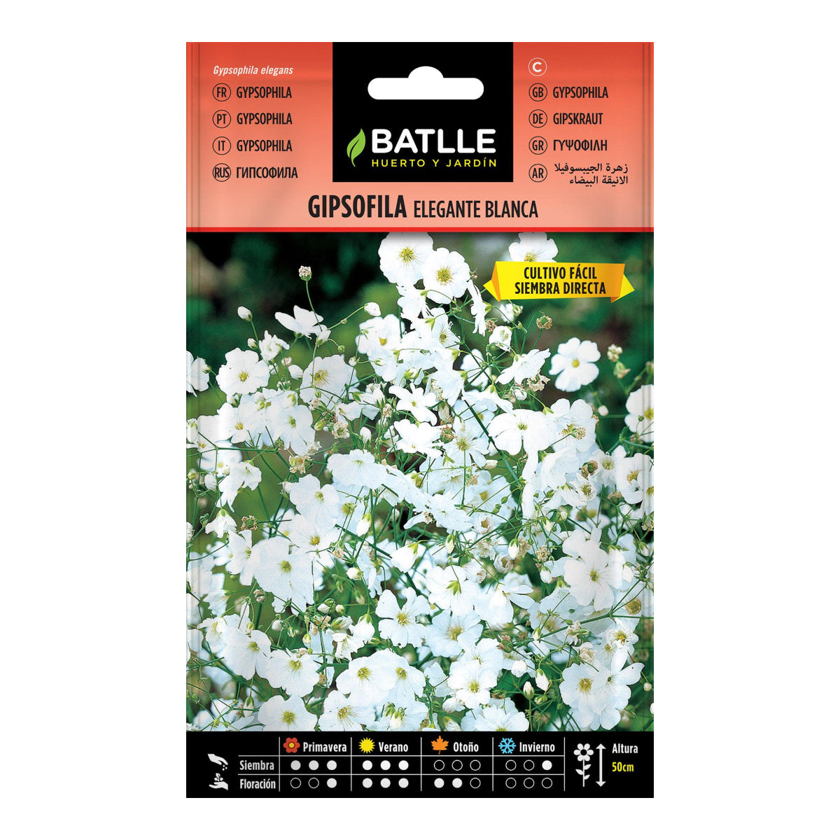 Samen von weißer Gipsofila elegante Batlle