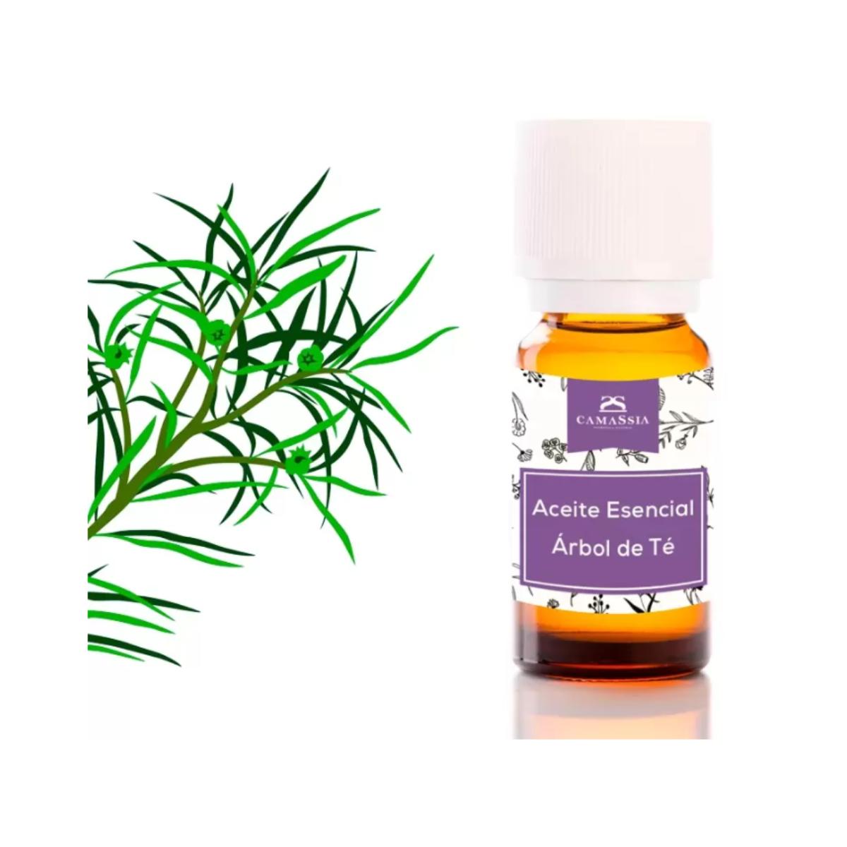 Huile essentielle d'arbre à thé (Melaleuca Alternifoli). Camassia 30 ml