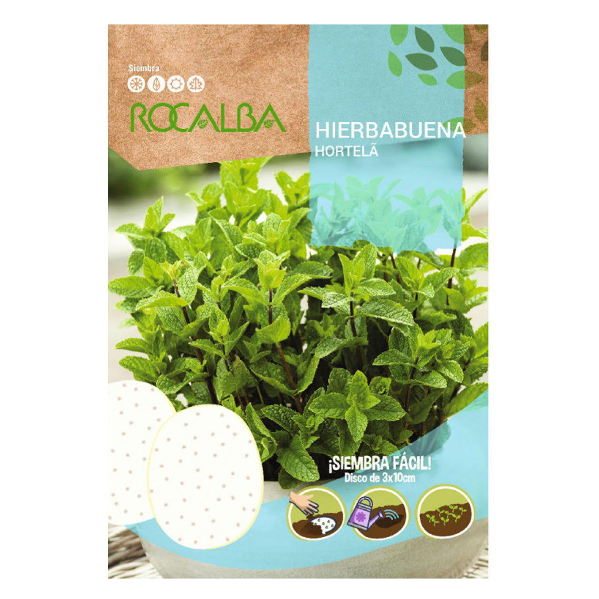 Semi di menta piperita in dischi, Rocalba