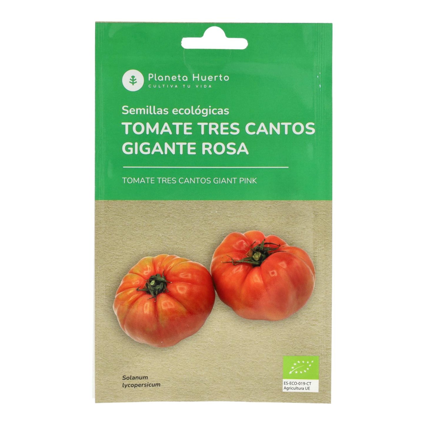 Organiczne nasiona pomidora olbrzymiego różowego tres cantos Planeta Huerto