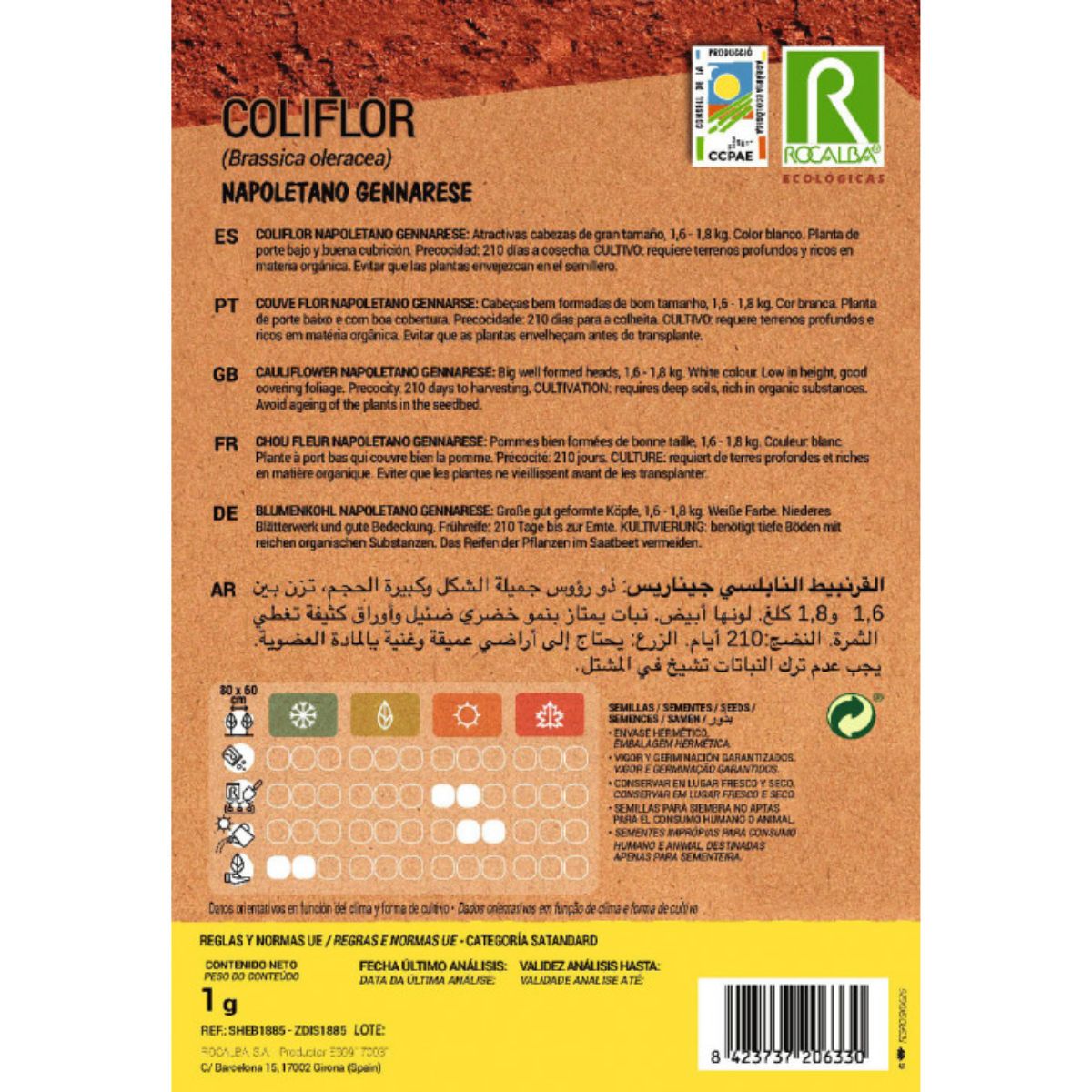 Graines de chou-fleur napolitain génnarese bio Rocalba