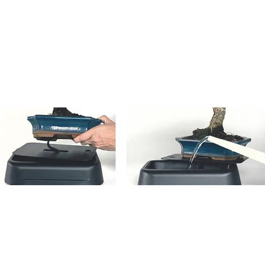Système d'auto-arrosage pour bonsaïs 25 cm Hidrobonsai