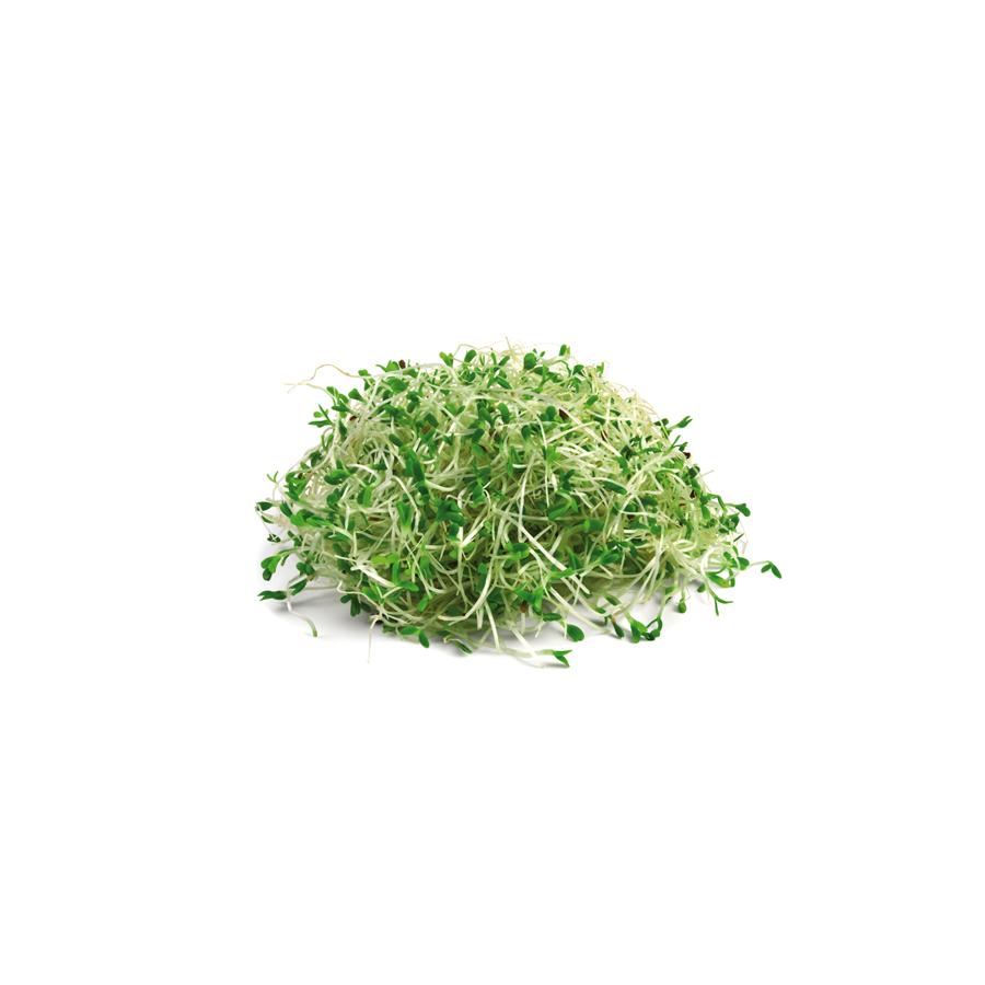 Alfalfa 400 mg 200 tabletten El granero