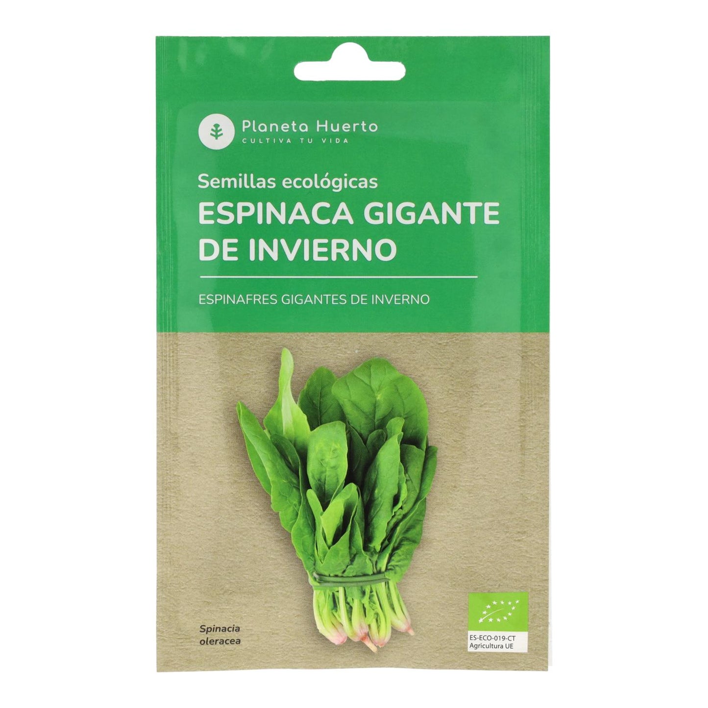 Organic Giant winter spinach seeds Planeta Huerto
