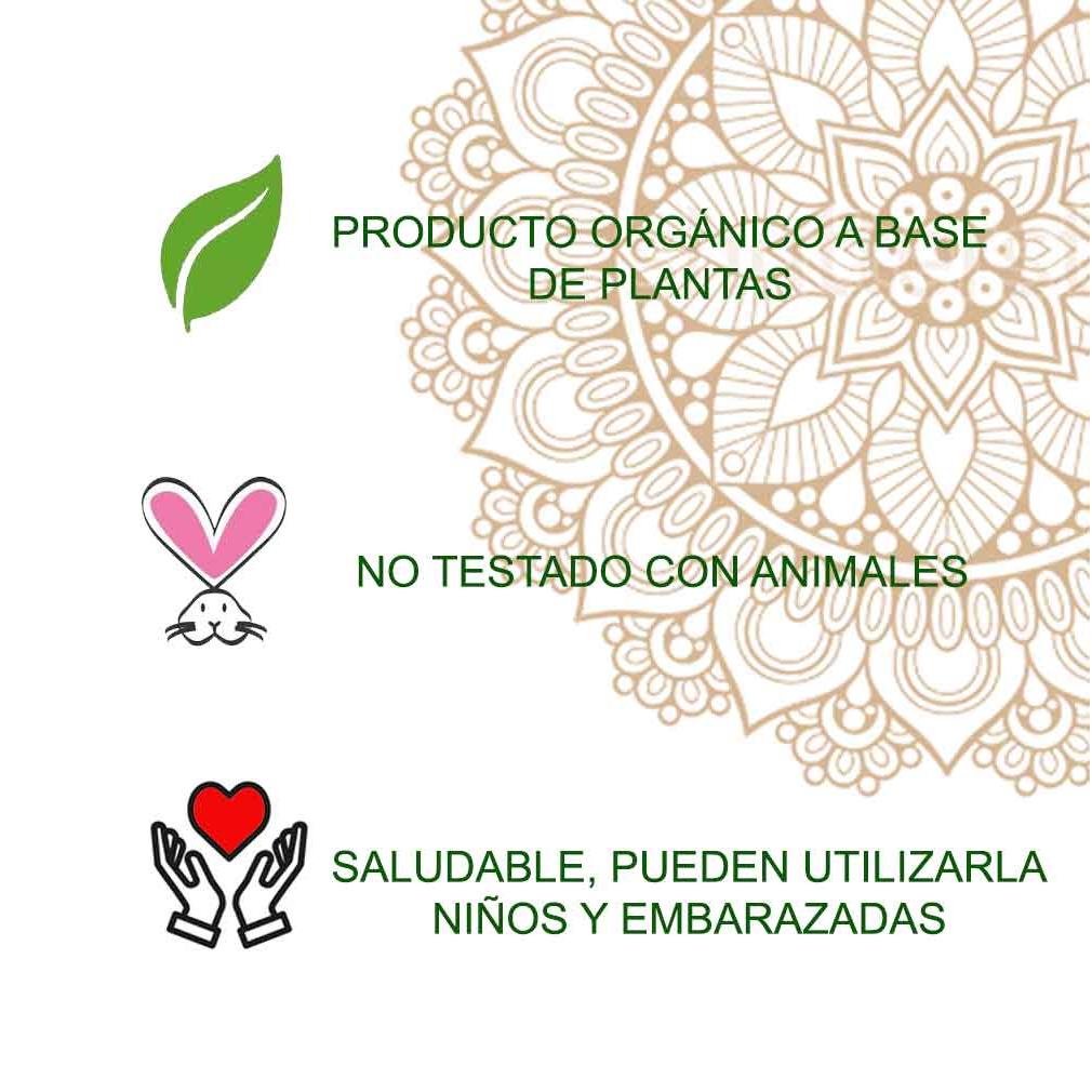 Tatuaje Henna Polvo Radhe 50 g