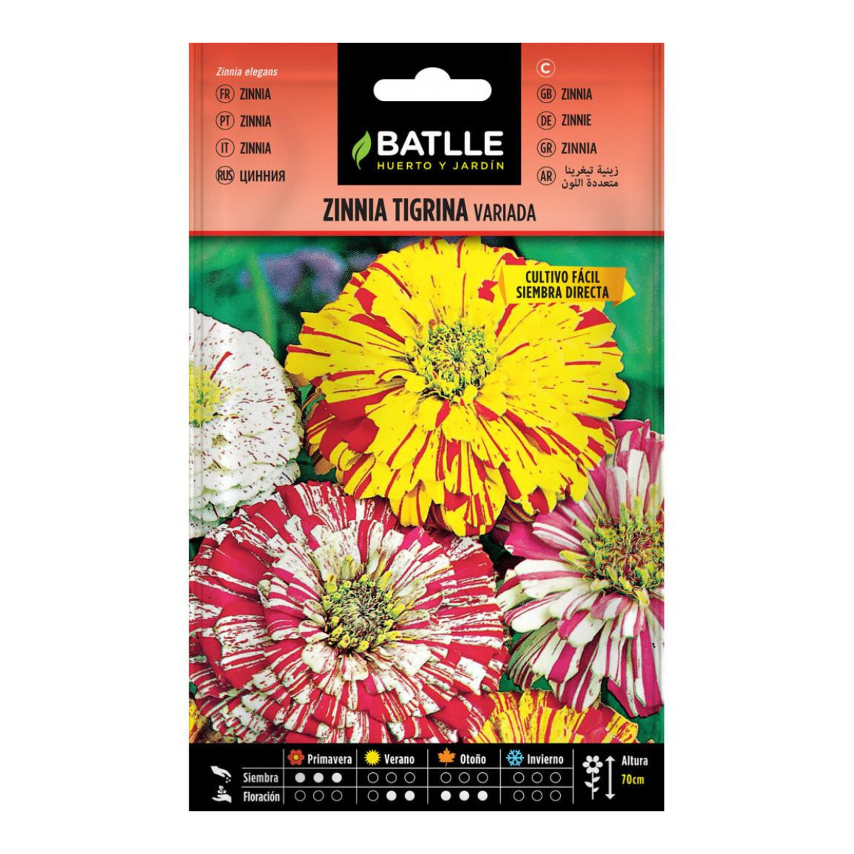 Nasiona Zinnia Tigrina mieszanka Batlle