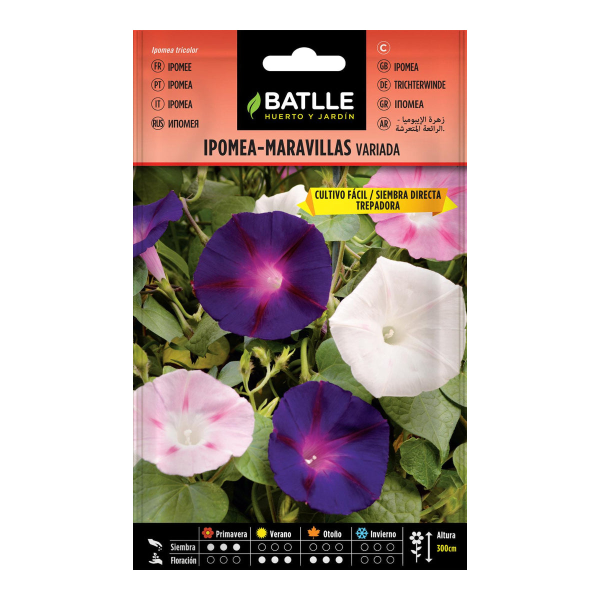Gevarieerde Ipomea-zaden Batlle