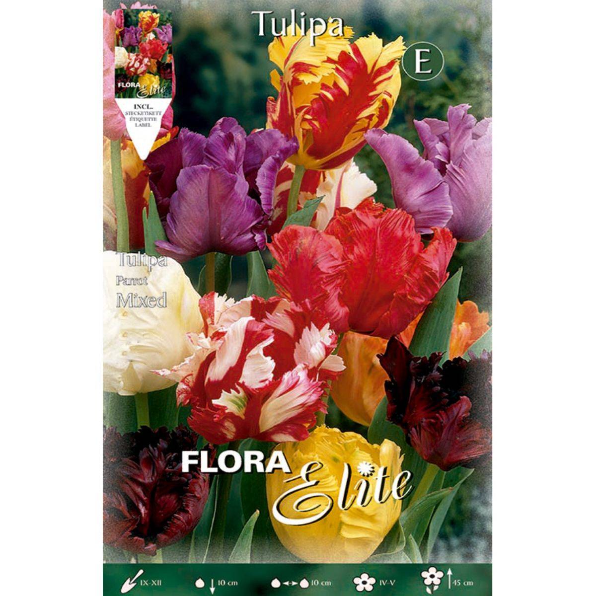 Cebulki tulipanów Papagayo, mieszanka 7 szt.