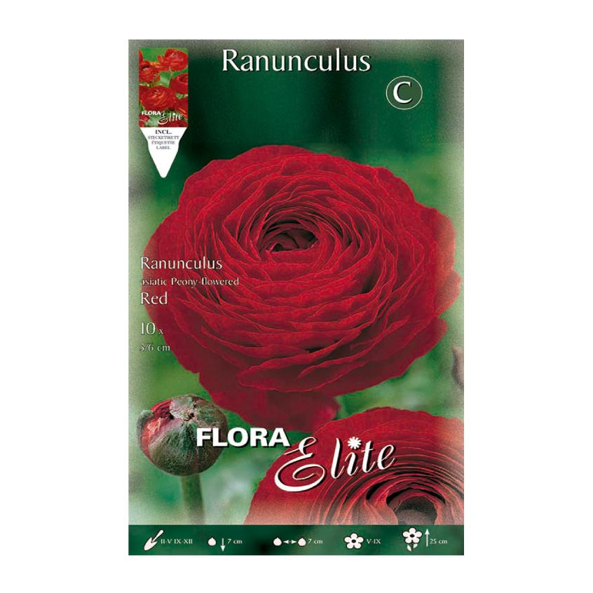 Rode ranonkels 10 stuks